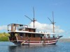 Safari boat