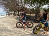 Bicykle