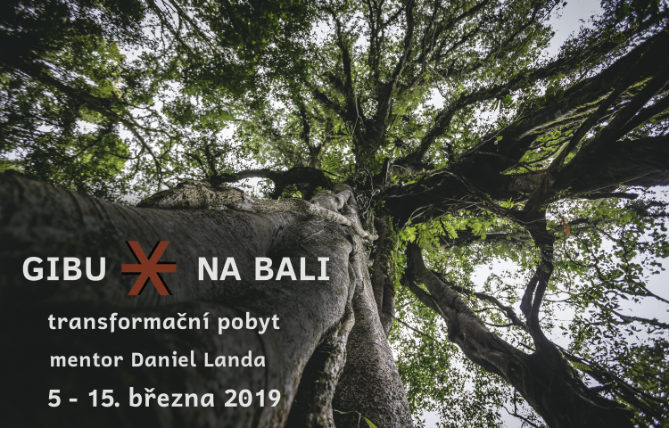 GIBU NA BALI - transformační pobyt        5. - 15.  března 2019