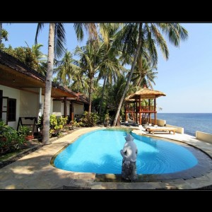 Relax Bali resort - Teil Monkey