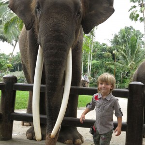 Sloní park Taro