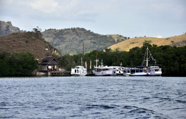 Přístav NP Komodo