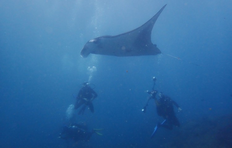 diving with Relax Bali divecenter