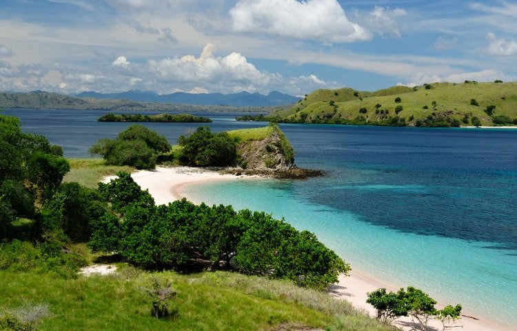 Komodo plaz