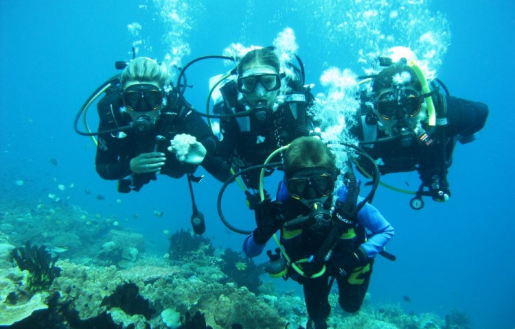 diving with Relax Bali divecenter