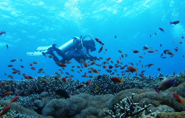 TRIAL DIVE FOR NON-DIVERS - Relax Bali