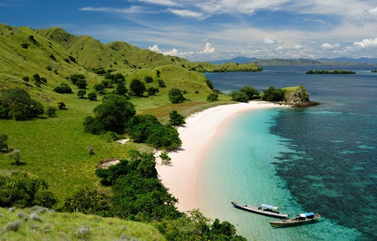 Komodo plaz