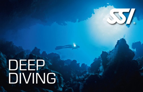 SSI_DeepDiving