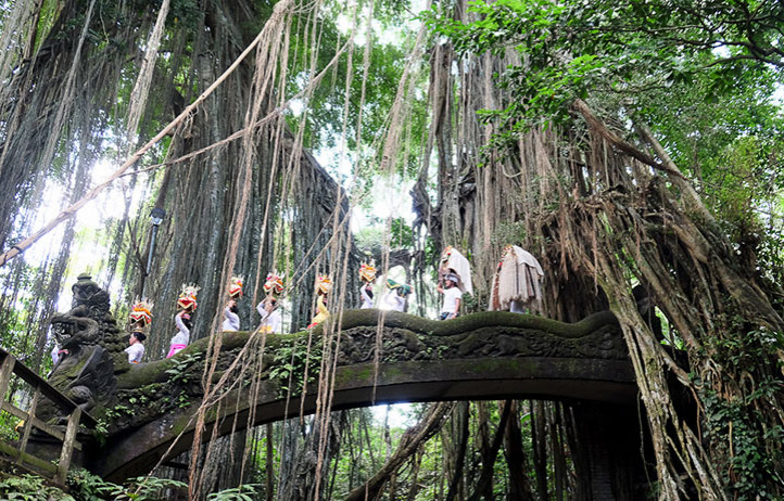 Monkey forest, Ubud s Relax Bali