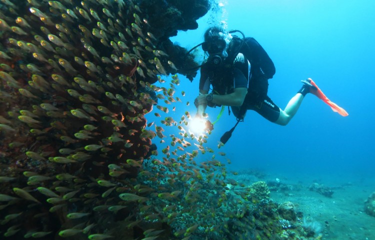 TRIAL DIVE FOR NON-DIVERS - Relax Bali