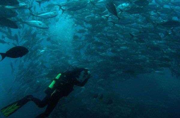 Potápění na Bali